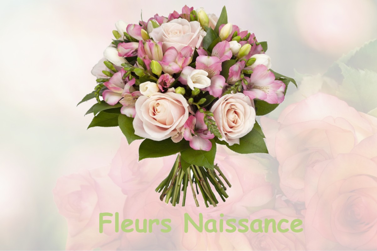 fleurs naissance LARROQUE-SUR-L-OSSE